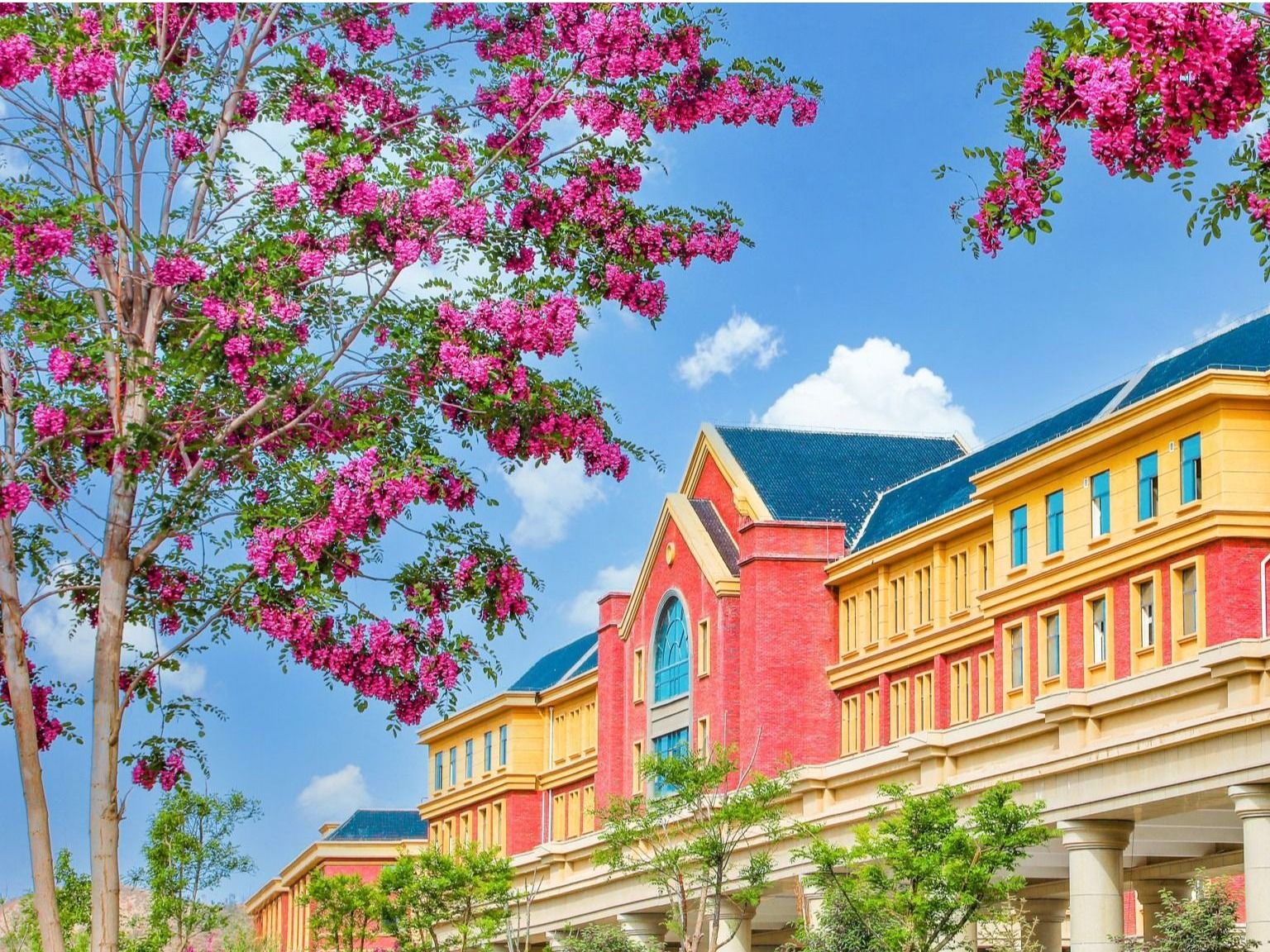 beat365官方网站：聚合资源，加强学科建设，培养高质量应用型人才