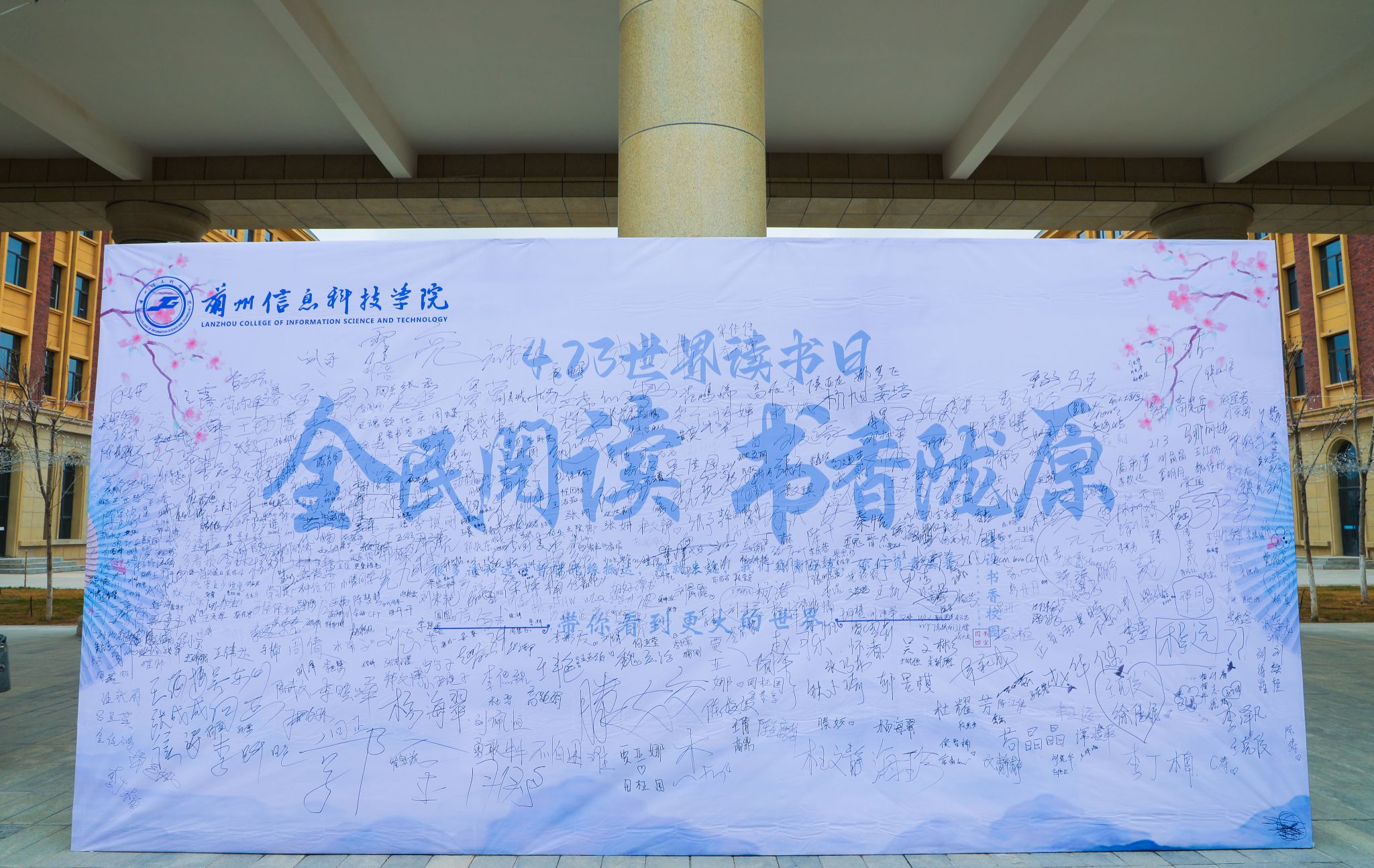 6B981 6B981