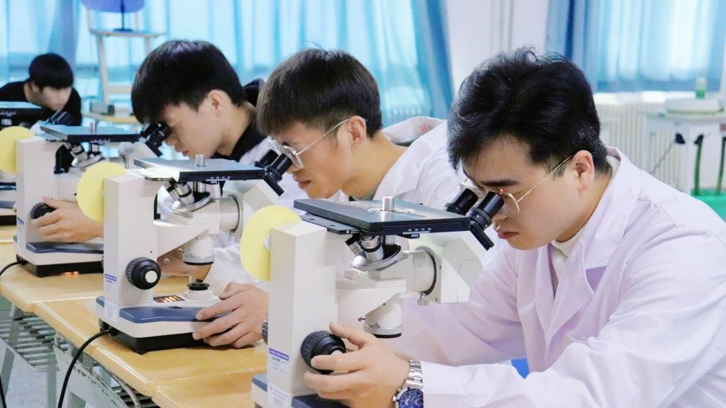 徕卡杯”第十一届全国大学生金相技能大赛决赛beat365官方网站分赛场圆满落幕